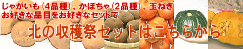 じゃがいも、かぼちゃ、玉ねぎの詰合わせ「北の収穫祭セット」ご購入はこちらから