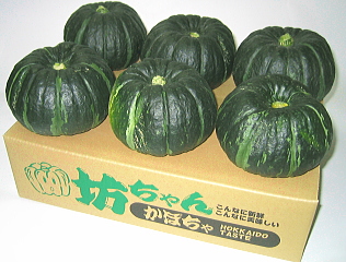 坊ちゃんかぼちゃの荷姿(ダンボール箱)